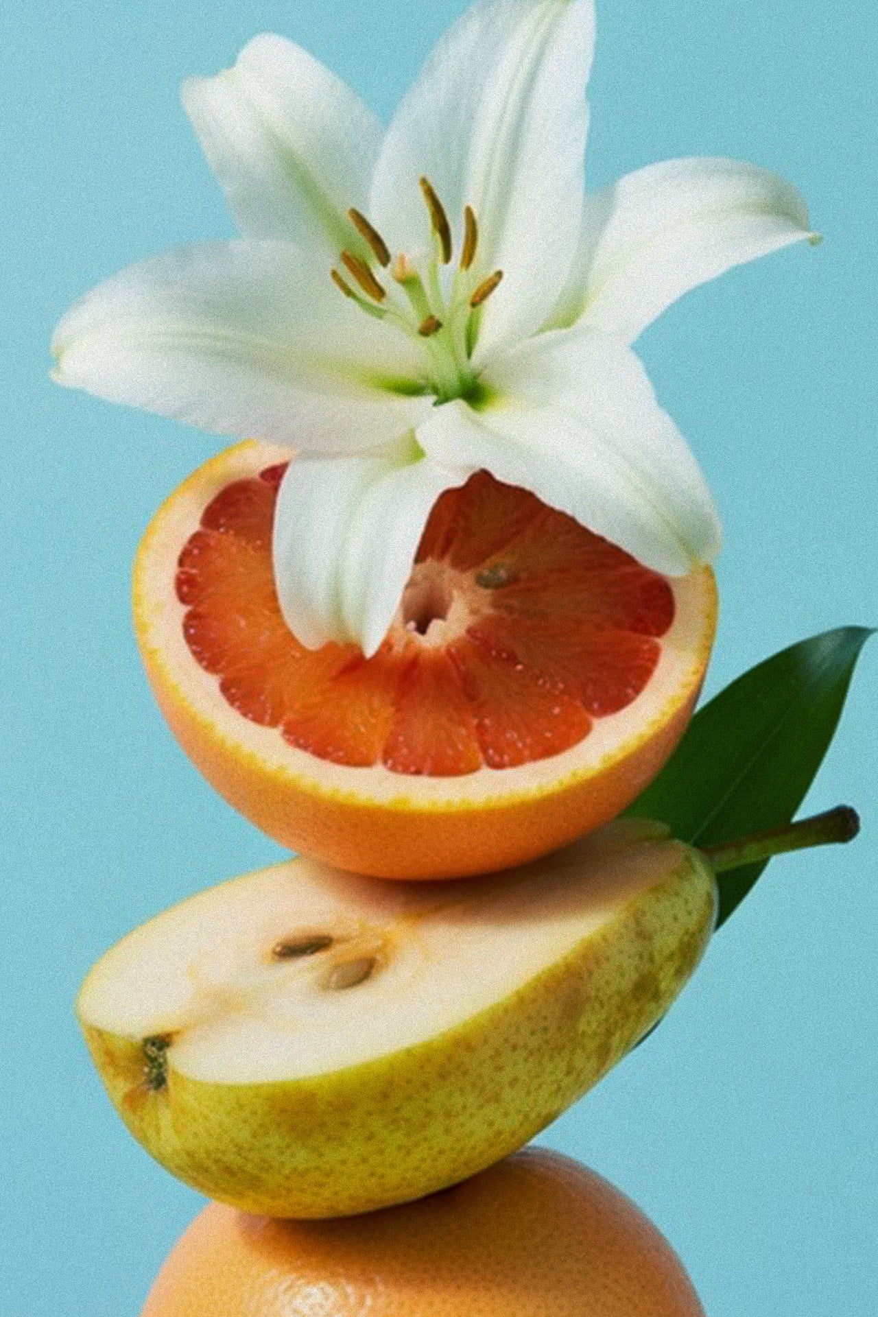 Sweet Citrus Pear