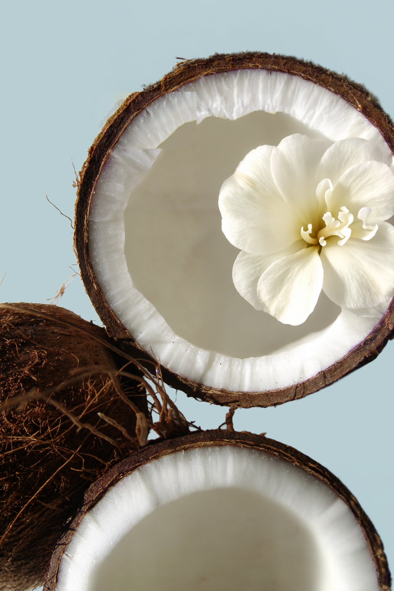 Coconut Cream